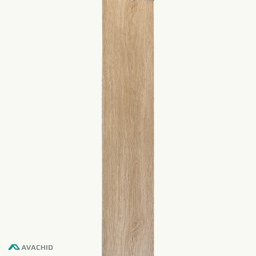 3005