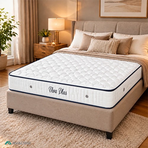 viva-plus2
